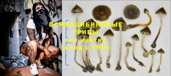 крисы Алексеевка