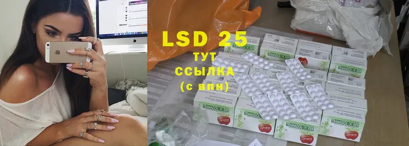 LSD-25 экстази кислота Лесной