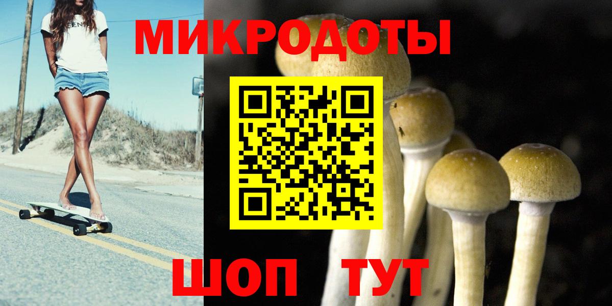 Галлюциногенные грибы MAGIC MUSHROOMS  Лесной 