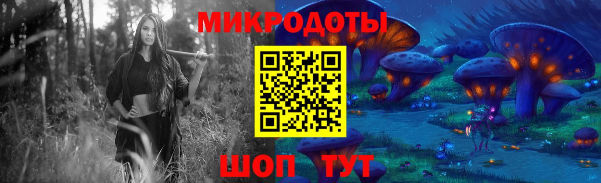 Псилоцибиновые грибы Psilocybe Лесной