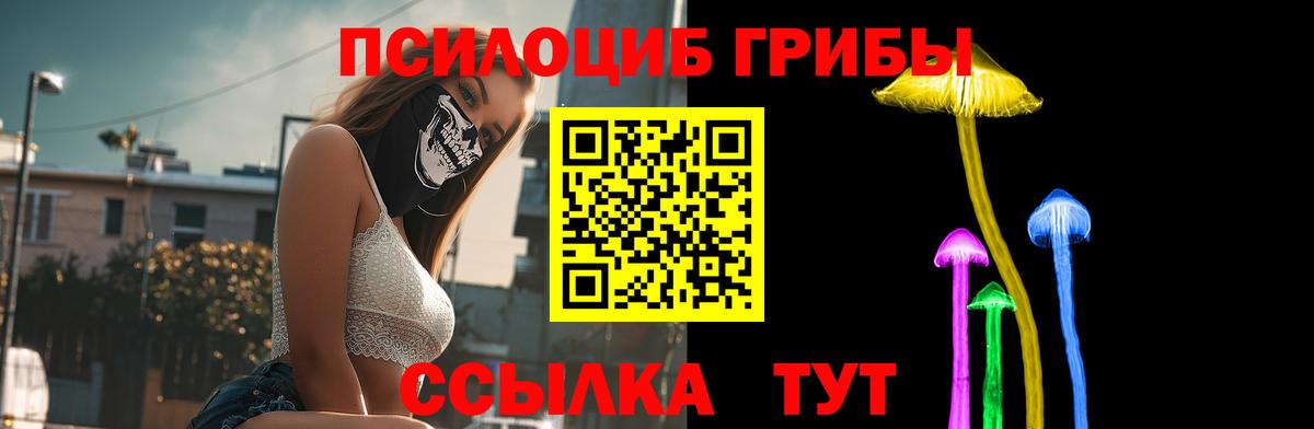Псилоцибиновые грибы мицелий Лесной