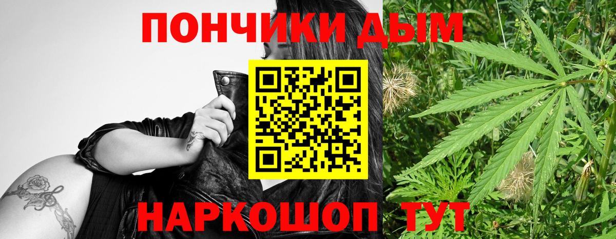 МАРИХУАНА сатива Лесной